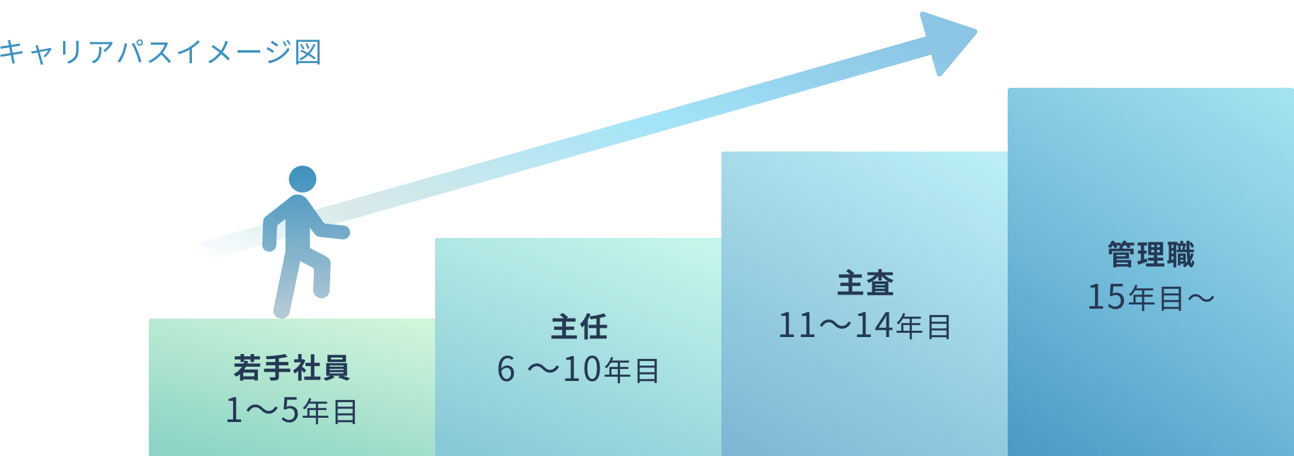 キャリアパスイメージ図